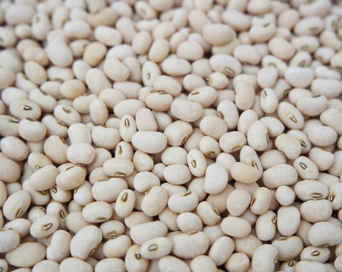 Lady Cowpea (Southern Pea) Seeds -- Organically Grown, non-GMO, Heirloom, Made in Wisconsin - USA