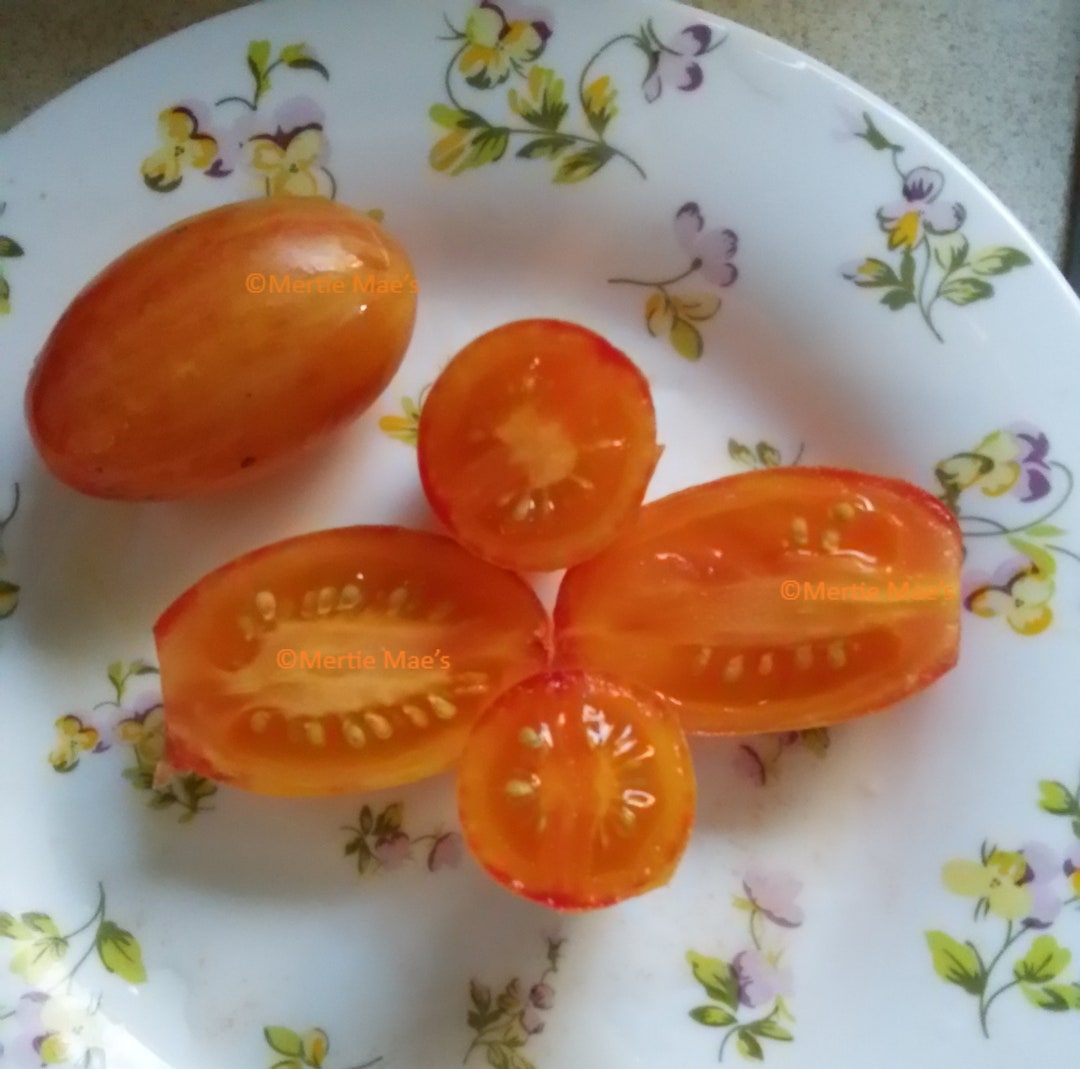 Artisan Blush Tiger Tomato Seeds Organically Grown, Nongmo, Heirloom