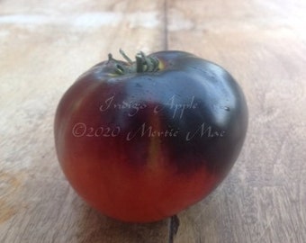 Indigo Apple Tomato Seed -- Organically Grown, non-GMO, Heirloom, Made in Wisconsin - USA