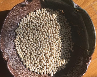 Texas Cream Cowpea (Southern Pea) Seed