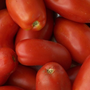 Napoli Paste Tomato Seed -- s -- Organically Grown, non-GMO, Heirloom, Made in Wisconsin - USA