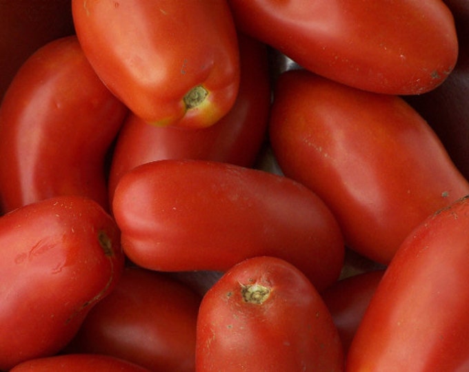 Napoli Paste Tomato Seed -- s -- Organically Grown, non-GMO, Heirloom, Made in Wisconsin - USA