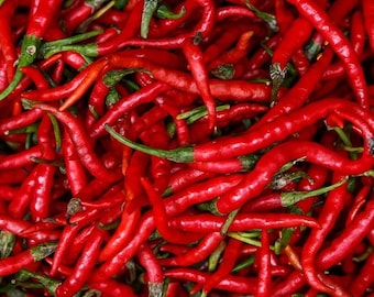 Long Red Thin Cayenne Hot Pepper Seed