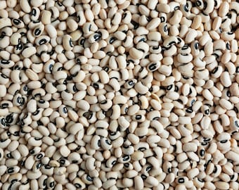 California Blackeye #46 Cowpea (Southern Pea) Seed