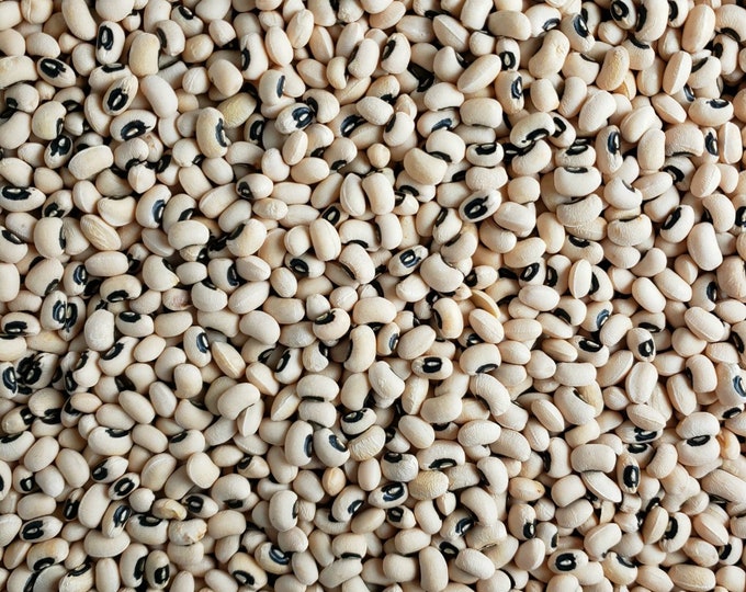 California Blackeye #46 Cowpea (Southern Pea) Seed