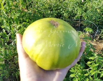 Aunt Ruby's German Green Tomato Seeds -- Organically Grown, non-GMO, Heirloom, Made in Wisconsin - USA