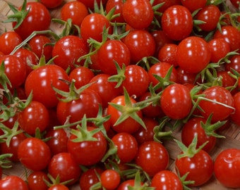 Sweet Million OP Tomato Seeds -- Organically Grown, non-GMO, Heirloom, Made in Wisconsin - USA