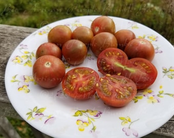 Purple Bumble Bee Tomato Seeds -- Organically Grown, non-GMO, Heirloom, Made in Wisconsin - USA