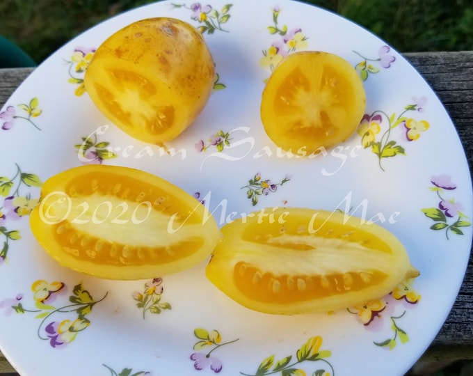 Cream Sausage Tomato Seeds -- Organically Grown, non-GMO, Heirloom, Made in Wisconsin - USA