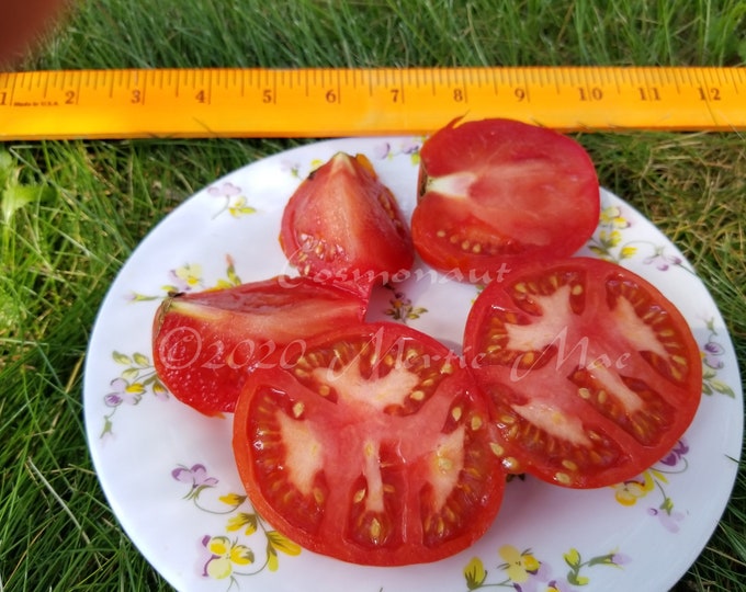Cosmonaut Tomato Seeds -- Organically Grown, non-GMO, Heirloom, Made in Wisconsin - USA