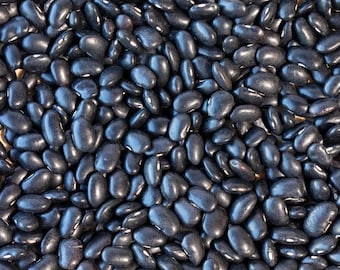 Peregion Black Bean Seed