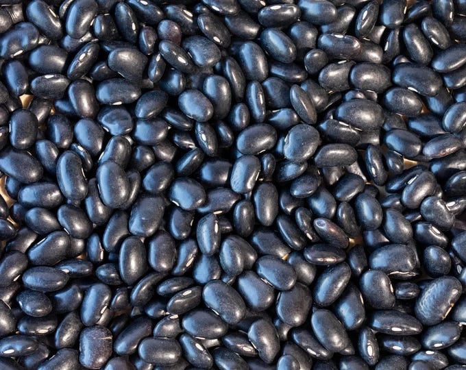 Peregion Black Bean Seed