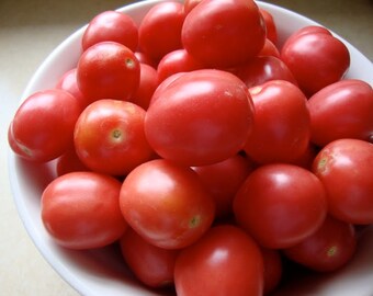 Porter Tomato Seed -- Organically Grown, non-GMO, Heirloom, Made in Wisconsin - USA