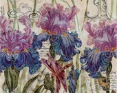 4 Decoupage Napkins irises and dragonfly Irises Napkins Floral Napkins Garden Napkins Summer Napkins Paper Napkins for Decoupage