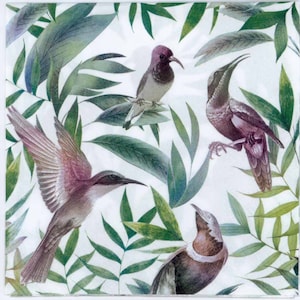 Guardanapos Decoupage | Pássaros Tropicais | Pássaros Samora | Guardanapos Pássaros | Guardanapos Tropicais | Guardanapos Vida Selvagem | Guardanapos de Papel para Decoupage