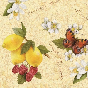 Może przedstawiać: Ilustracja w stylu akwareli z cytrynami, malinami, białymi kwiatami i motylem na teksturowanym, jasnożółtym tle. Słowa "Raspberry Flowers" i "Peacock" są napisane czcionką skryptową.