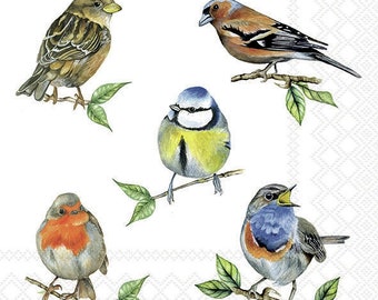 Art Paper Napkin for Collage Decoupage Altered Art Mixed Media | Bird Collection