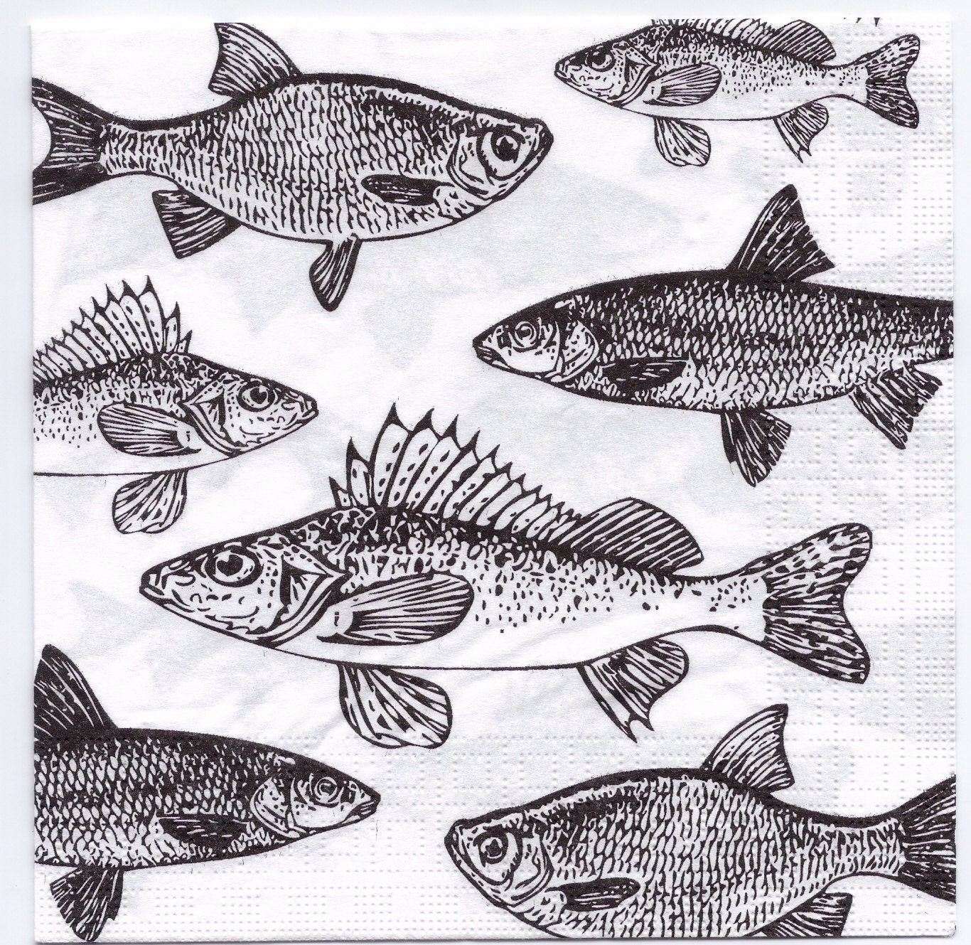 Как изобразить рыбу. Как изобразить рыбу. Рыба рисунок. Силуэт рыбы. Как изобразить рыбу.