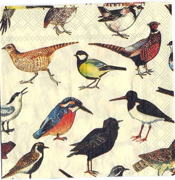 Birds - Decoupage Paper  Chiarotino Paper Napkin