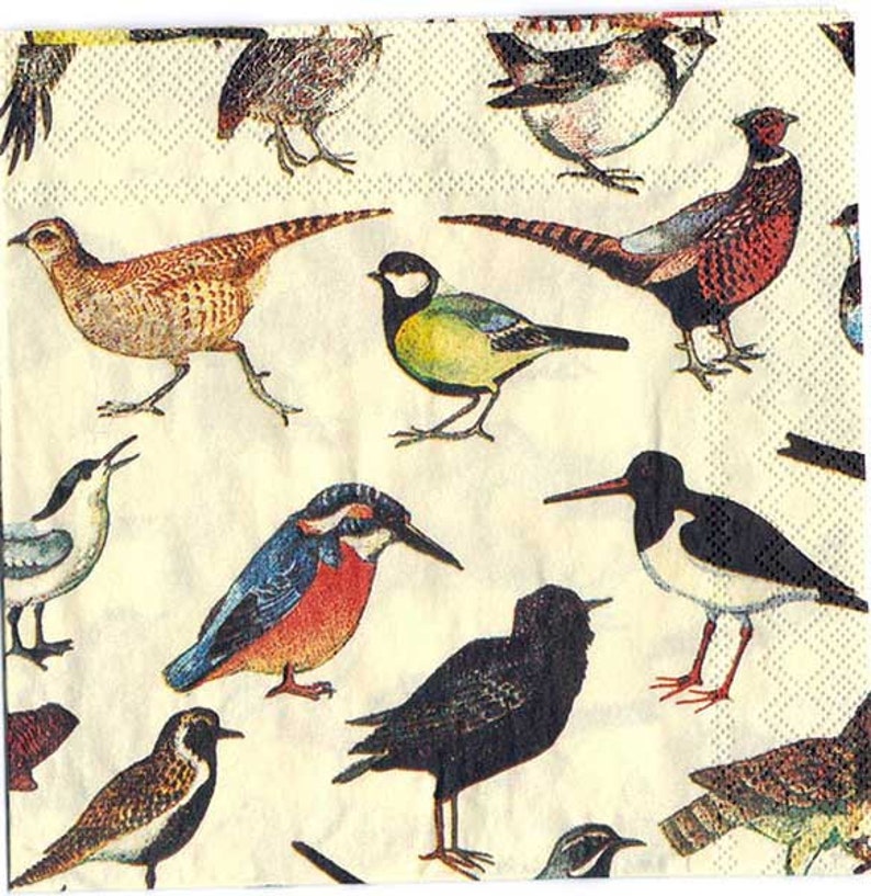 4 Decoupage Napkins British Birds by Emma Bridgewater Bird Etsy