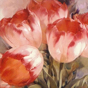 May include: A watercolor painting of several tulips in shades of pink and red. The flowers are in full bloom, with their petals open and facing different directions. Green leaves are visible at the base of the flowers. The painting has a soft, diffused light.