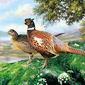 Tovaglioli per decoupage / Tovaglioli con fagiani / uccelli / Tovaglioli con animali selvatici / Tovaglioli di carta per decoupage