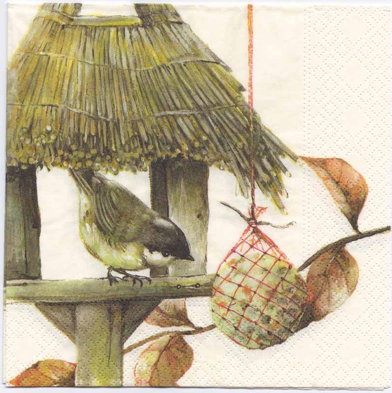 4 Decoupage Napkins Bird in Her Birdhouse Bird Napkins Etsy