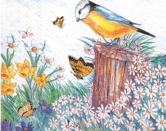 Decoupage av fågelskådning (set om 4)