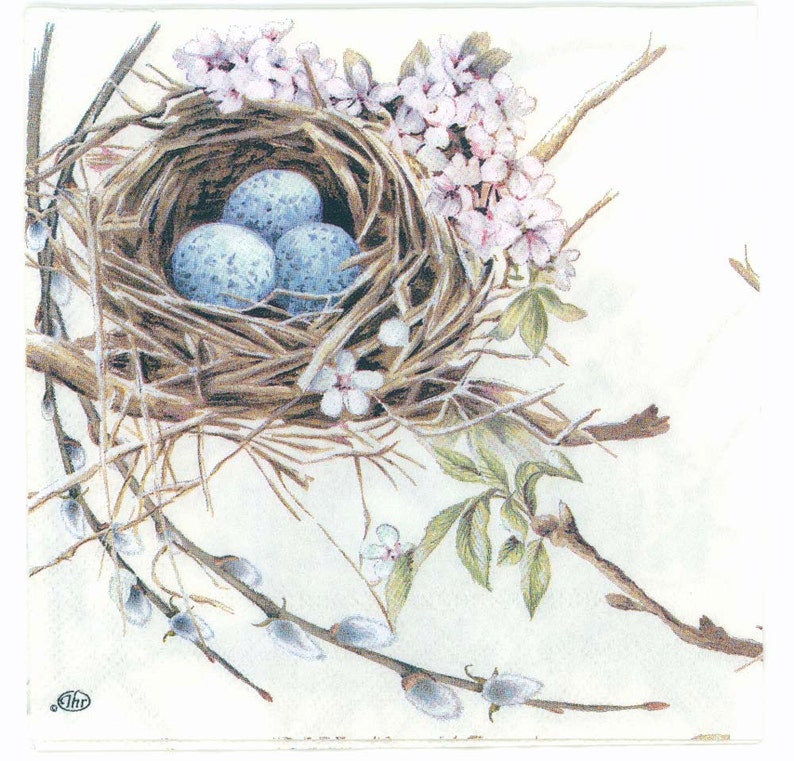 May include: A bird's nest made of twigs with three blue speckled eggs inside. The nest is surrounded by delicate white flowers and green leaves.