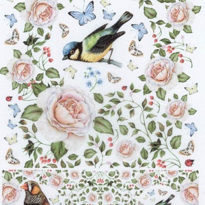 Decoupage Rice paper l Vintage birds with butterflies & roses l decoupage supplies