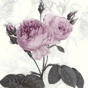 Servilletas de papel con rosas moradas pastel: decoupage y collage (juego de 4)