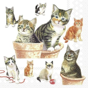 Cat Collection Decoupage Napkins: Netherlands Printed, 13&quot; Party Napkins (Set of 4)