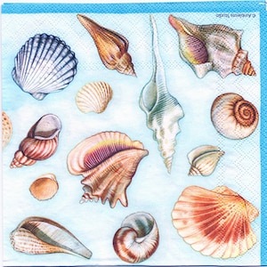 Tovaglioli per decoupage / Collezione conchiglie con sfondo blu / Tovaglioli marini / Tovaglioli marini / Spiaggia / Tovaglioli di carta per decoupage