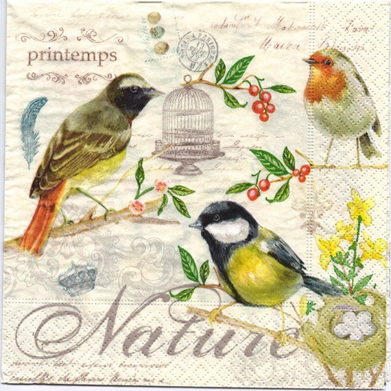 4 Decoupage Napkins | French Birds of Spring | Bird Napkins | Spring  Napkins | French Napkins | Party Napkins | Paper Napkins for Decoupage