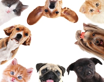 4 Decoupage Happiness Dogs friends napkins | dog Napkins | Paper Napkins for Decoupage