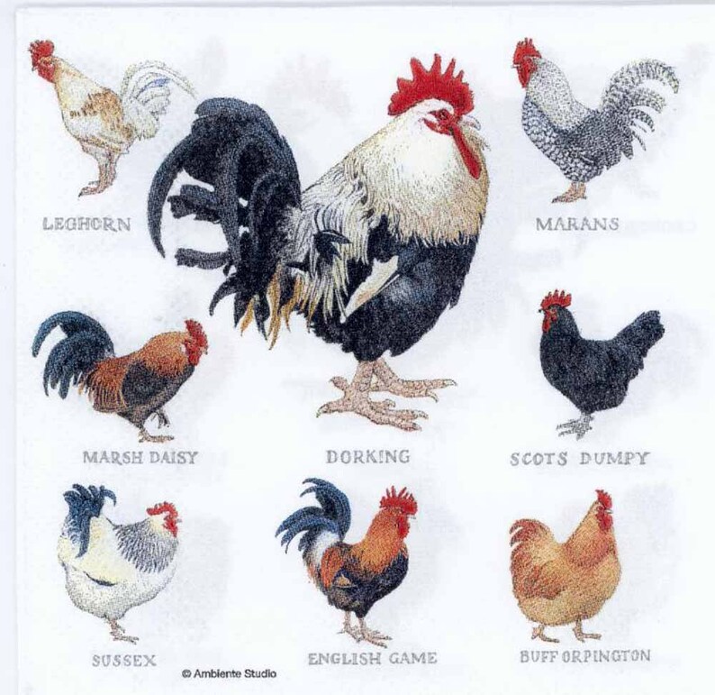 4 Decoupage Napkins Chicken Breeds Collection Chicken Napkins Poultry Napkins Farm Napkinshen Napkins Paper Napkins For Decoupage