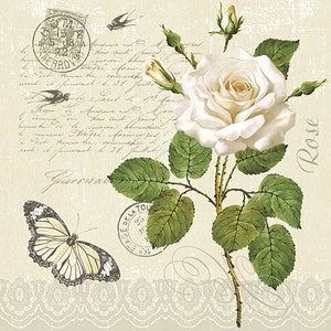 May include: A vintage-style illustration featuring a white rose with green leaves and thorns, a butterfly, and script. The word "Rose" is written vertically. The background includes postage stamps and script, with a lace border at the bottom.