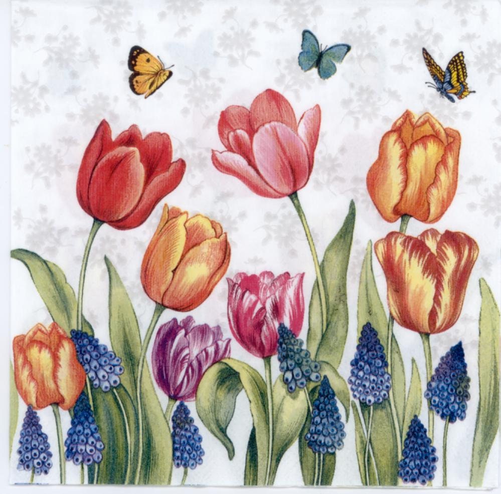 Pack of 4 Napkins Butterflies 33 x 33cm Great for Decoupage / Napkin Art