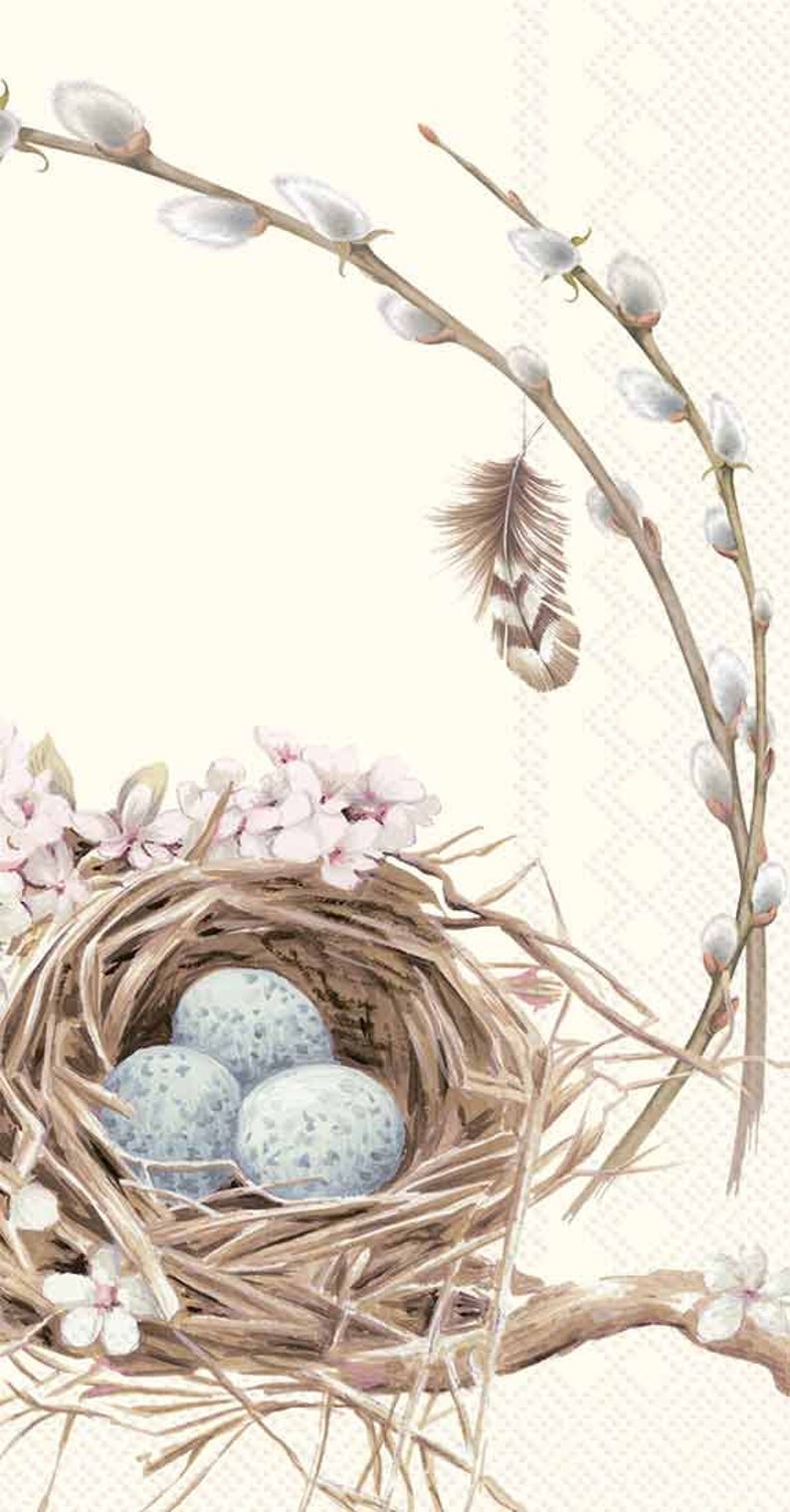 May include: A brown bird's nest with three blue speckled eggs inside. The nest is surrounded by delicate white blossoms and willow branches with fluffy white buds. A brown feather is visible in the upper right corner.