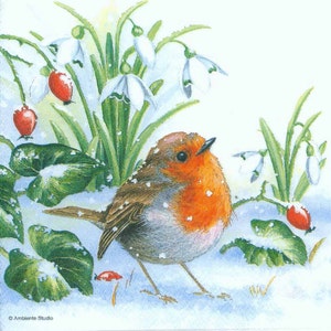 4 Guardanapos para Decoupage | Robin na Neve com Holly | Guardanapos para Pássaros | Guardanapos para Animais Selvagens | Guardanapos para Natureza | Guardanapos de Papel para Decoupage