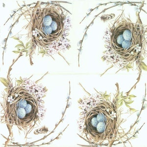 May include: Four brown bird nests with blue eggs inside, surrounded by white flowers and green leaves on a white background.