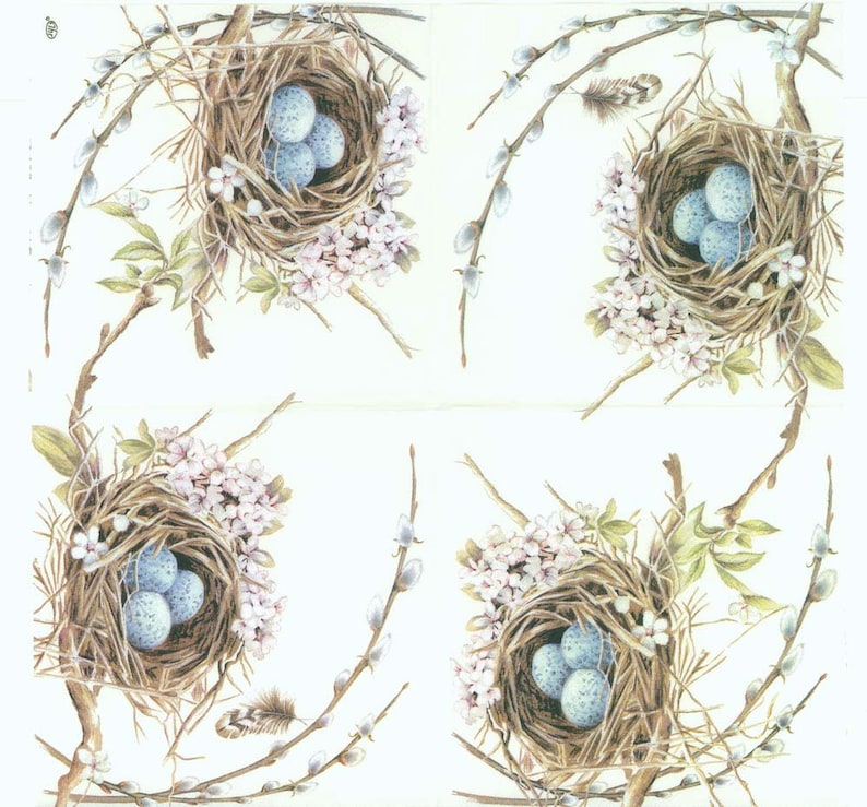 May include: Four brown bird nests with blue eggs inside, surrounded by white flowers and green leaves on a white background.