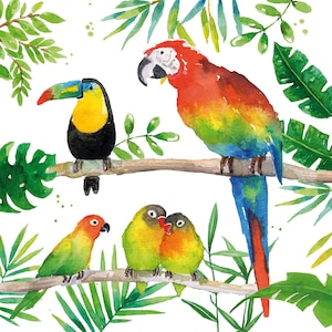 Toucan & Parrot Decoupage Napkins: Tropical Bird Paper Napkins