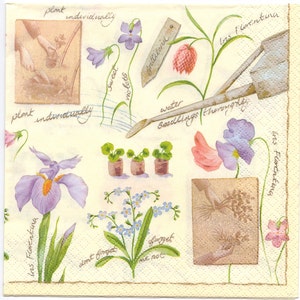 Decoupage Napkins | Flower Garden Irises Violets Forget-Me-Nots | Violet Napkins | Iris Napkins|Garden Napkins |Paper Napkins for Decoupage