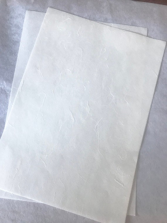 Papier De Riz Naturel Texture Blanche Transparente