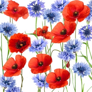 Tovaglioli per decoupage / Tovaglioli con papavero rosso e fiordaliso blu / Tovaglioli con fiori di campo / Tovaglioli per feste / Tovaglioli di carta per fai da te