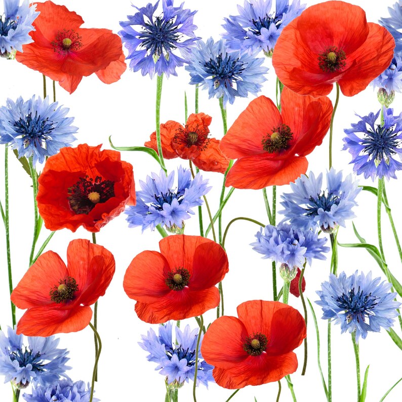 Decoupage Napkins Red Poppy & blue cornflower Napkins Etsy