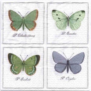 Decoupage Napkins | Vintage Print of Four Butterflies | Butterfly Napkins | Botanical Napkins | Party Napkins | Paper Napkins for Decoupage