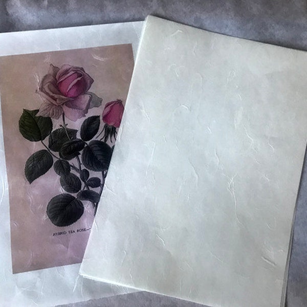 A4 Mulberry Paper for Decoupage l Rice paper for print & decorative supplies 5/10/20 sheets,36gm