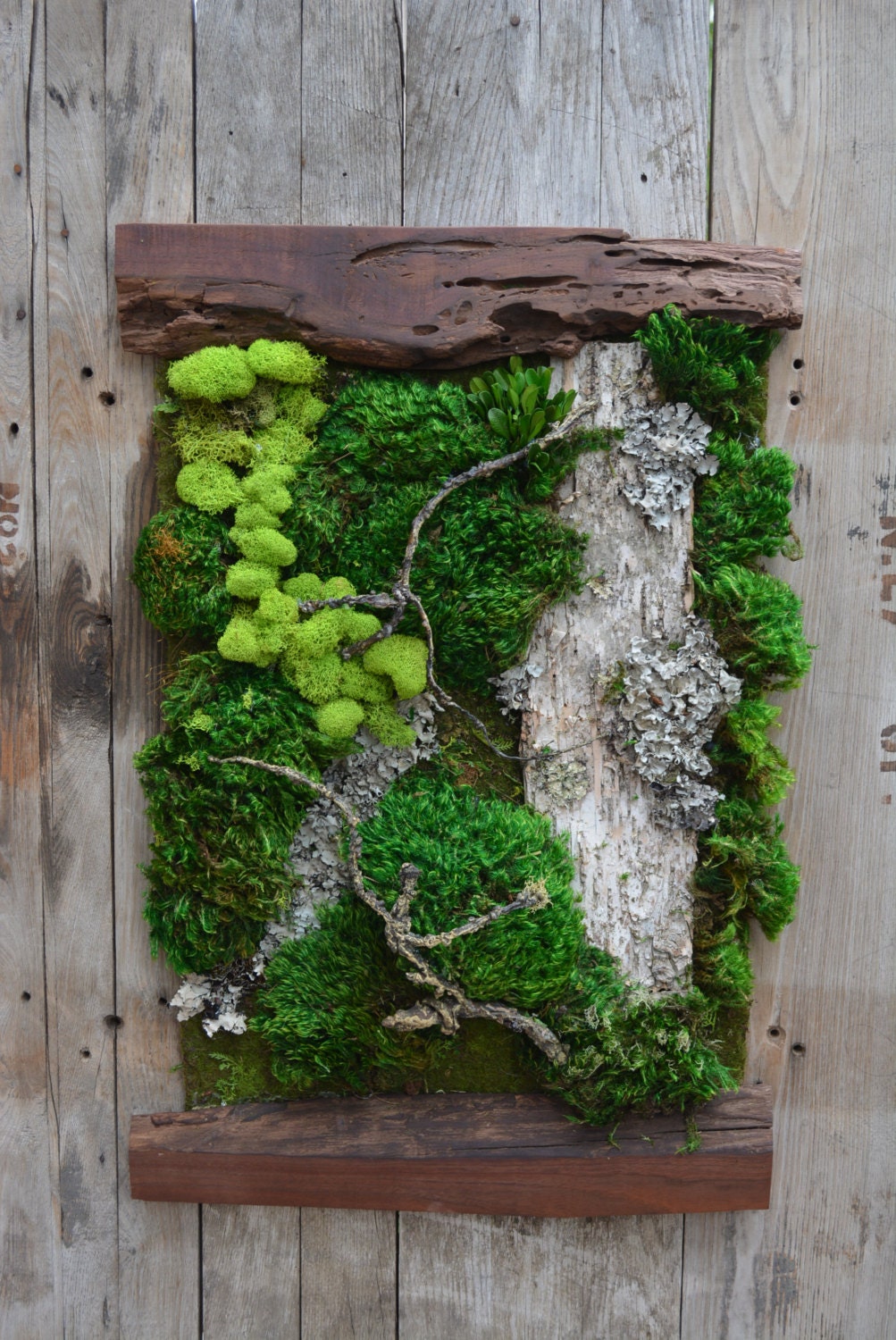 4. Living Art: The Mossy Bowl